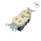 APAGADOR PALANCA Y CONTACTO ATERRIZADO 15A 127V